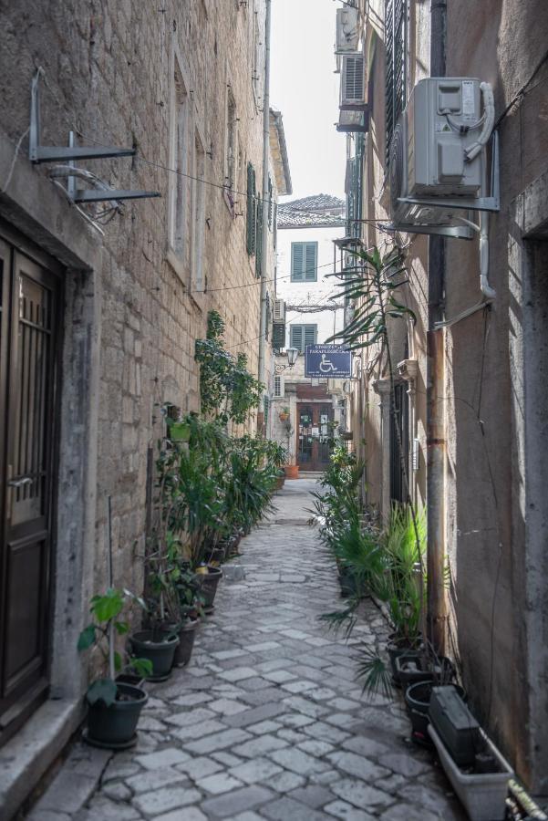 Sasha Di Cattaro - Old Town Lux Apartment Dış mekan fotoğraf